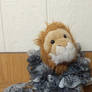 I am a test lion