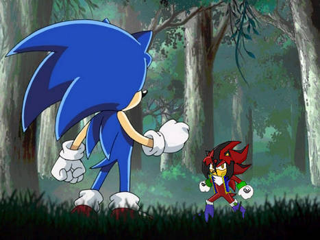 Sonic Vs Max