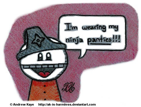 Ninja Panties