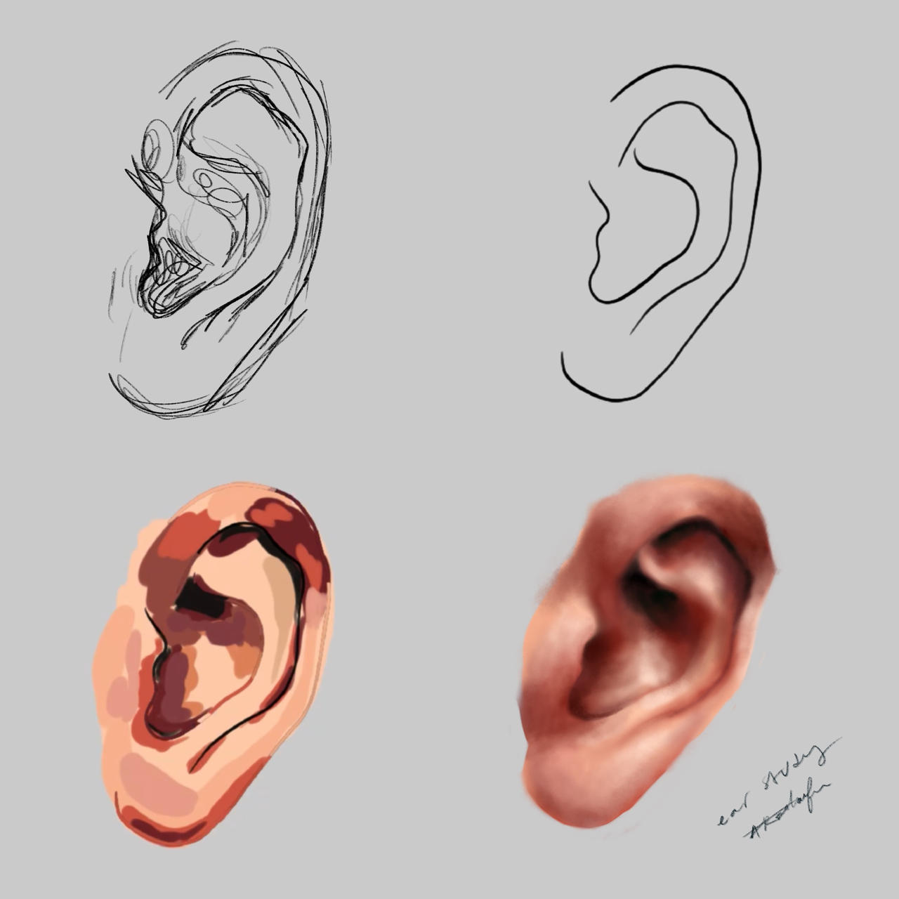 Ear Study I by arschaefer on DeviantArt