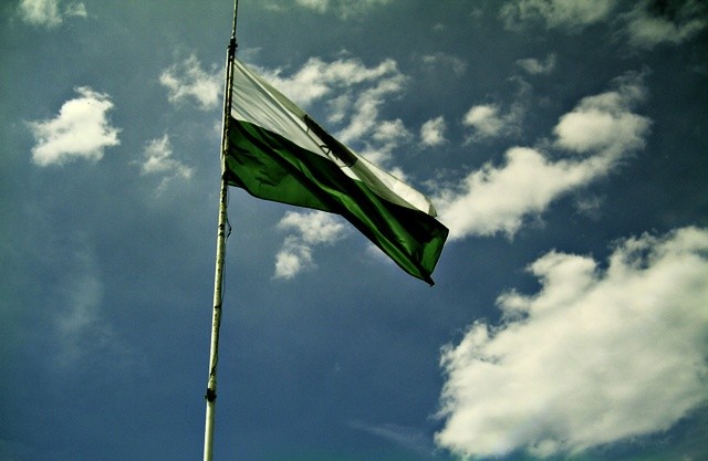 The Flag