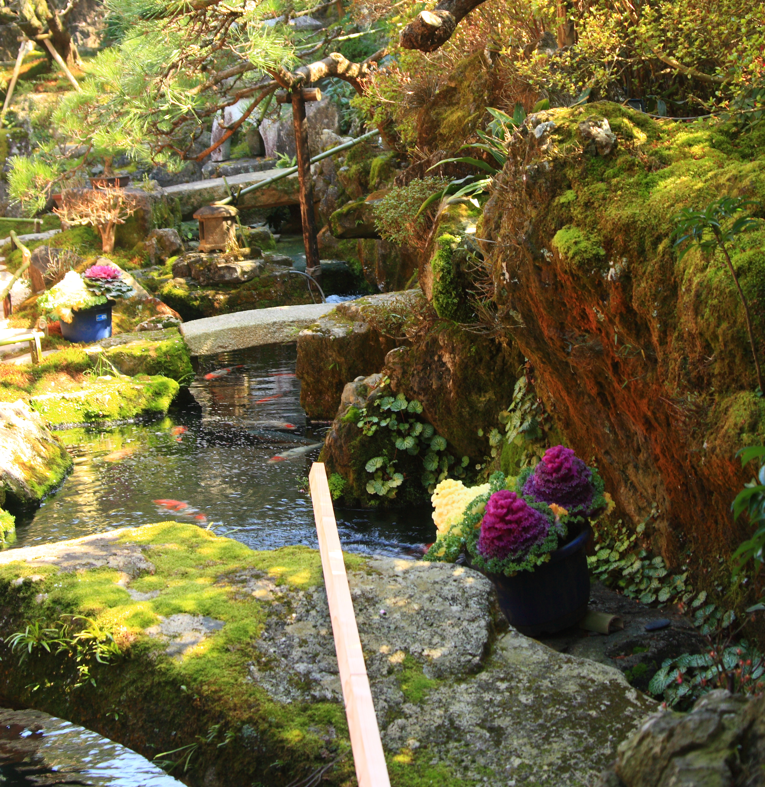 Japanese Garden 2