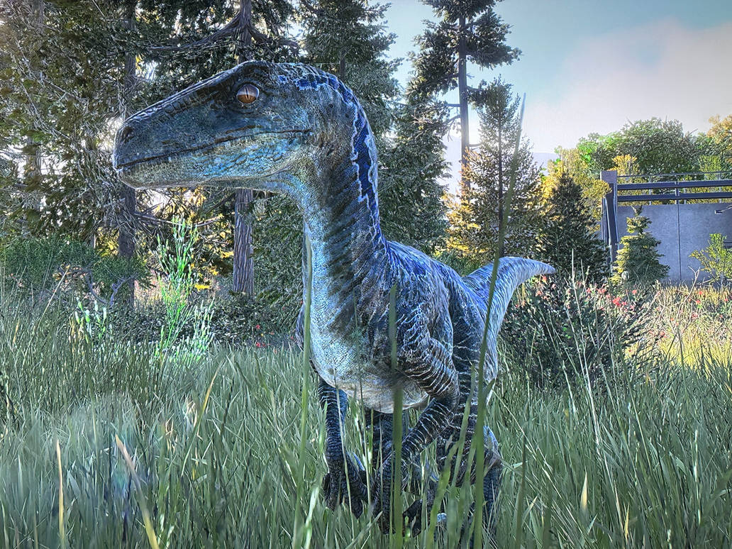 Blue the velociraptor by Filix2003 on DeviantArt