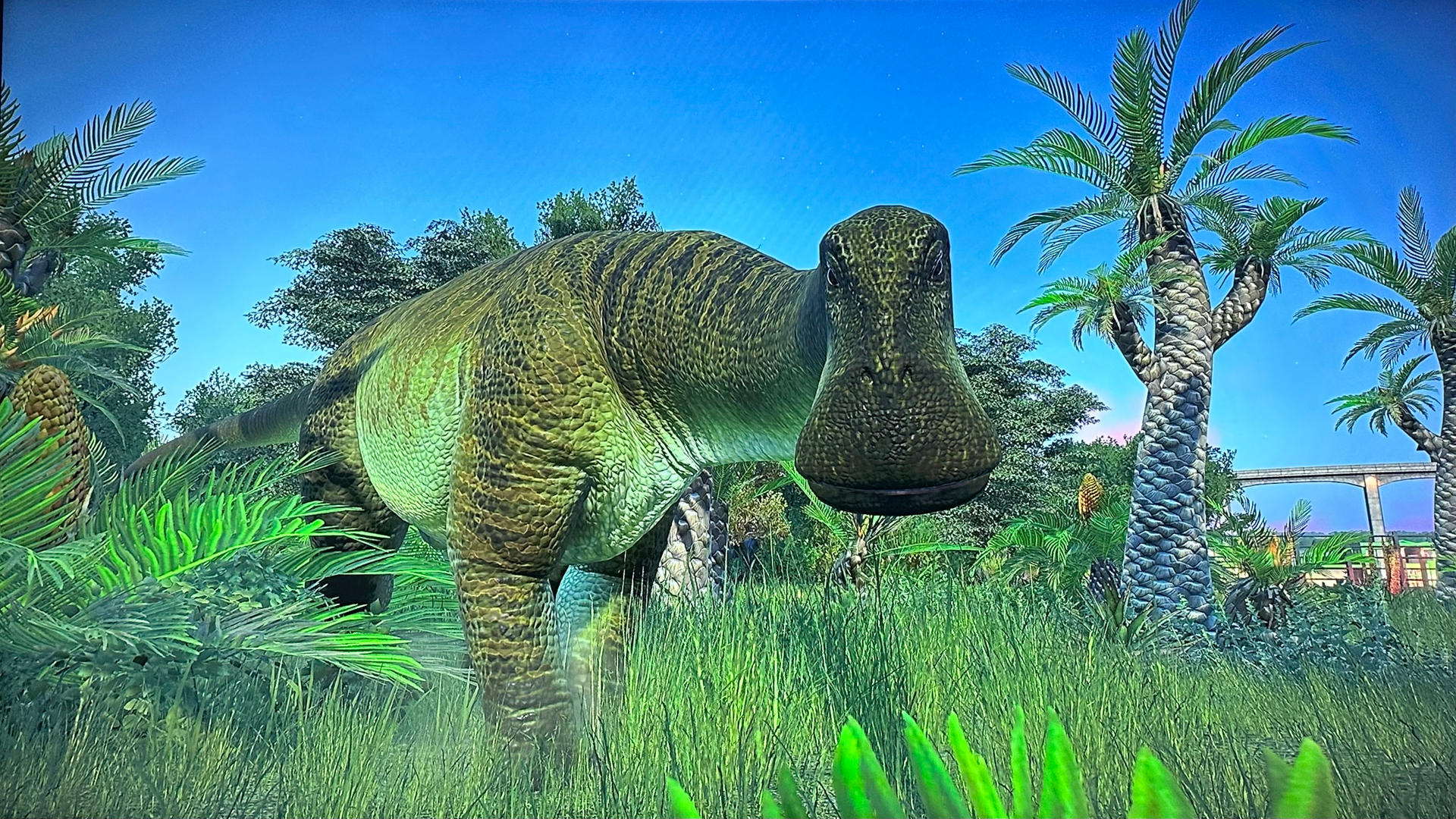 nigersaurus by Filix2003 on DeviantArt