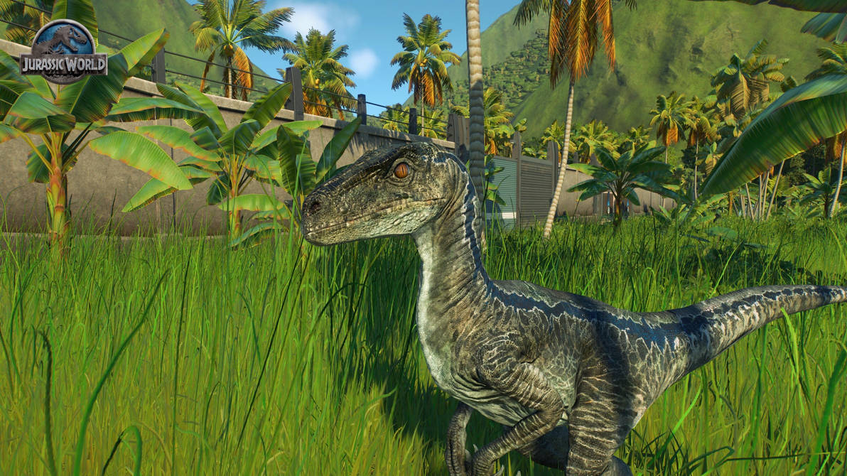 Blue the raptor by Filix2003 on DeviantArt