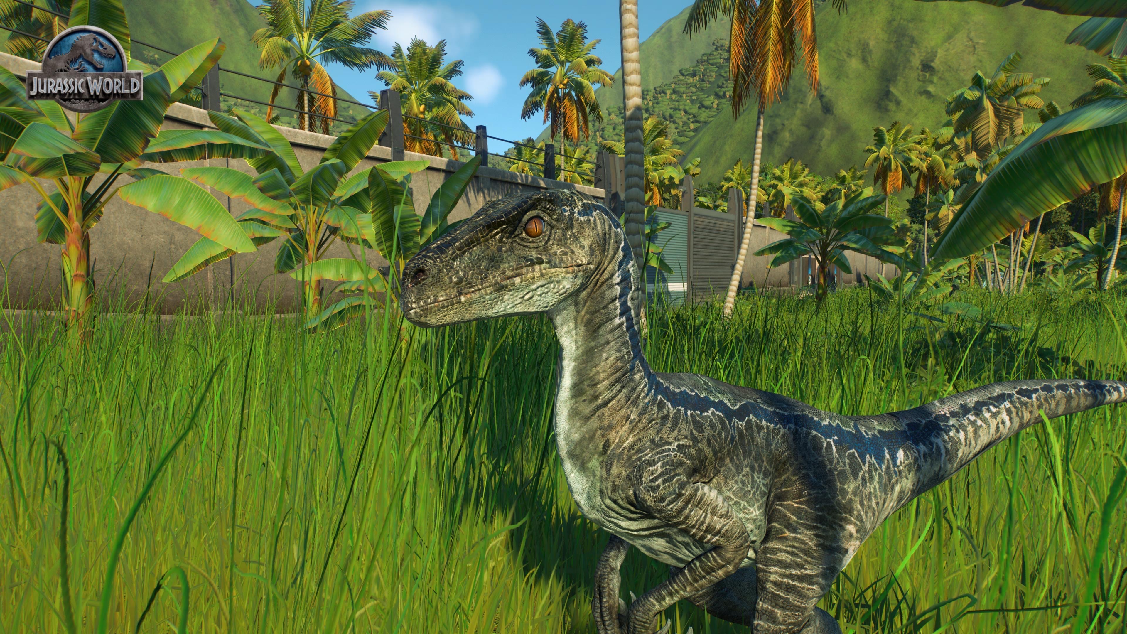 Blue the raptor by Filix2003 on DeviantArt