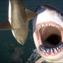 megalodon eats shark 2