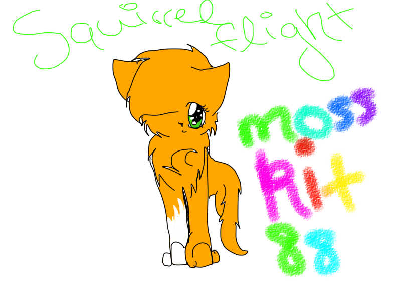 SquirrelFlight