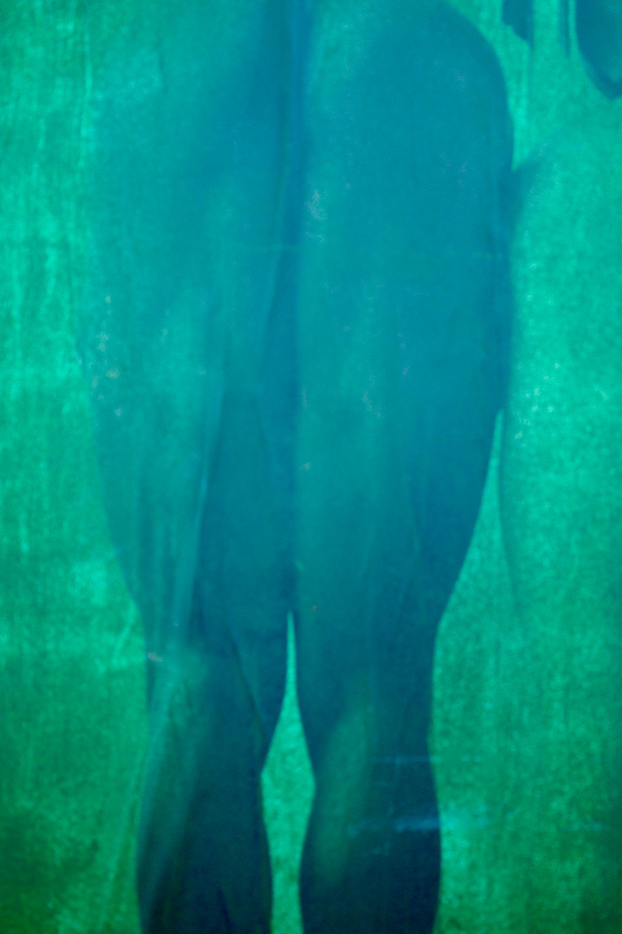 R0016627