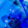 R0118867