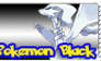 Support Pokemon Black