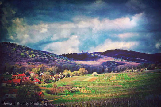 Alsatian Countryside