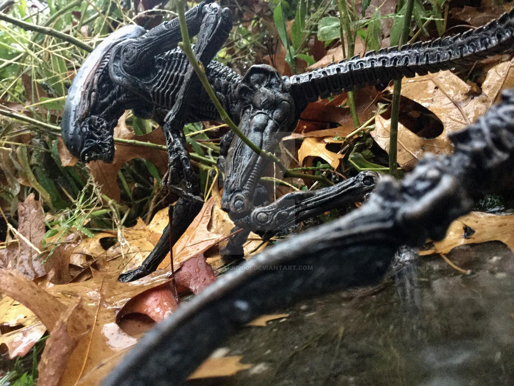 NECA Aliens Alien 3 Dog Alien Figurine d'Action Ultimate NECA Aliens Alien 3 Dog Alien Figurine d'Action Ultimate