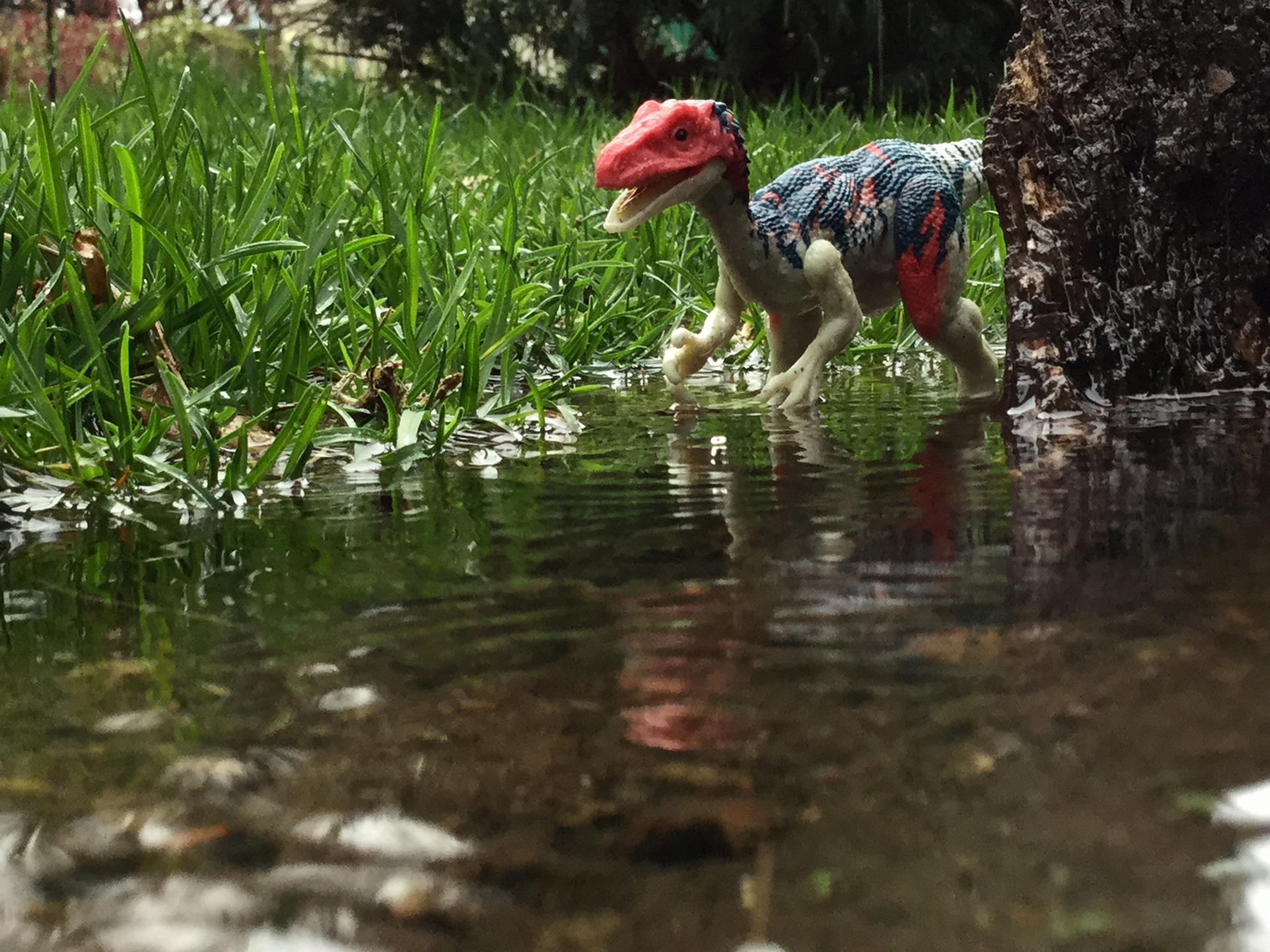 Coelurus Deviantart Coelurus by Kidkaiju2001 on DeviantArt