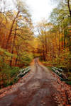 Autumn 2 by el1as