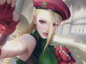 Cammy on Guard by SereneMountain
