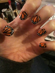 Monarch Butterfly