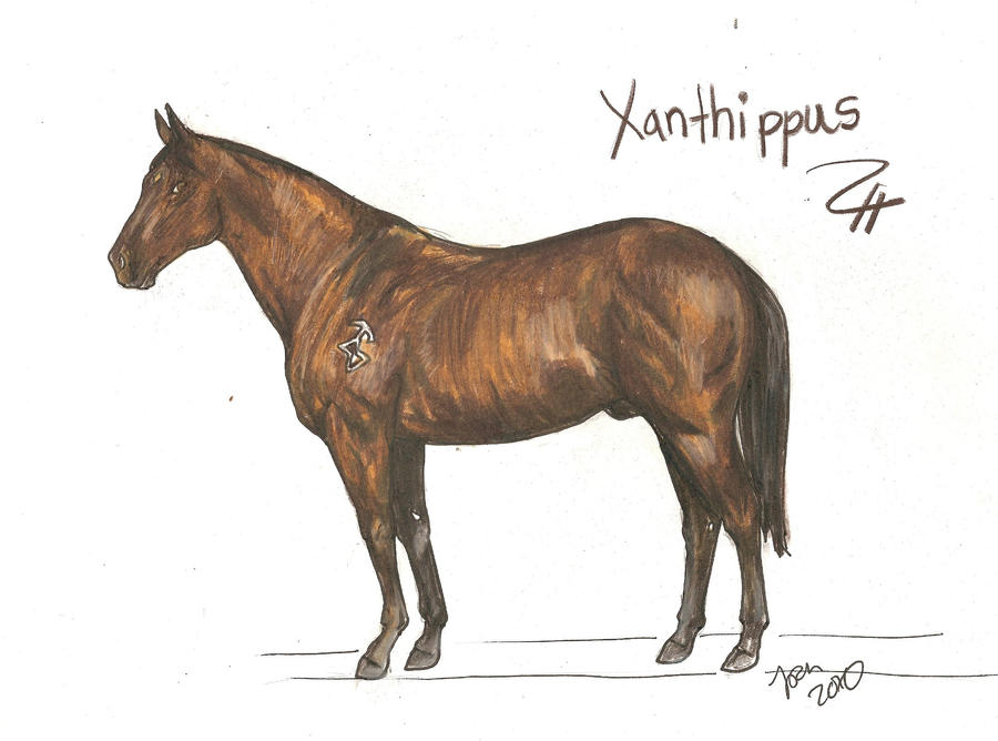HARPG: Xanthippus by 1pen on DeviantArt