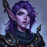 Half-Kaldorei Warrior