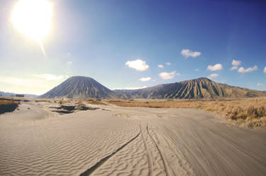 bromo II