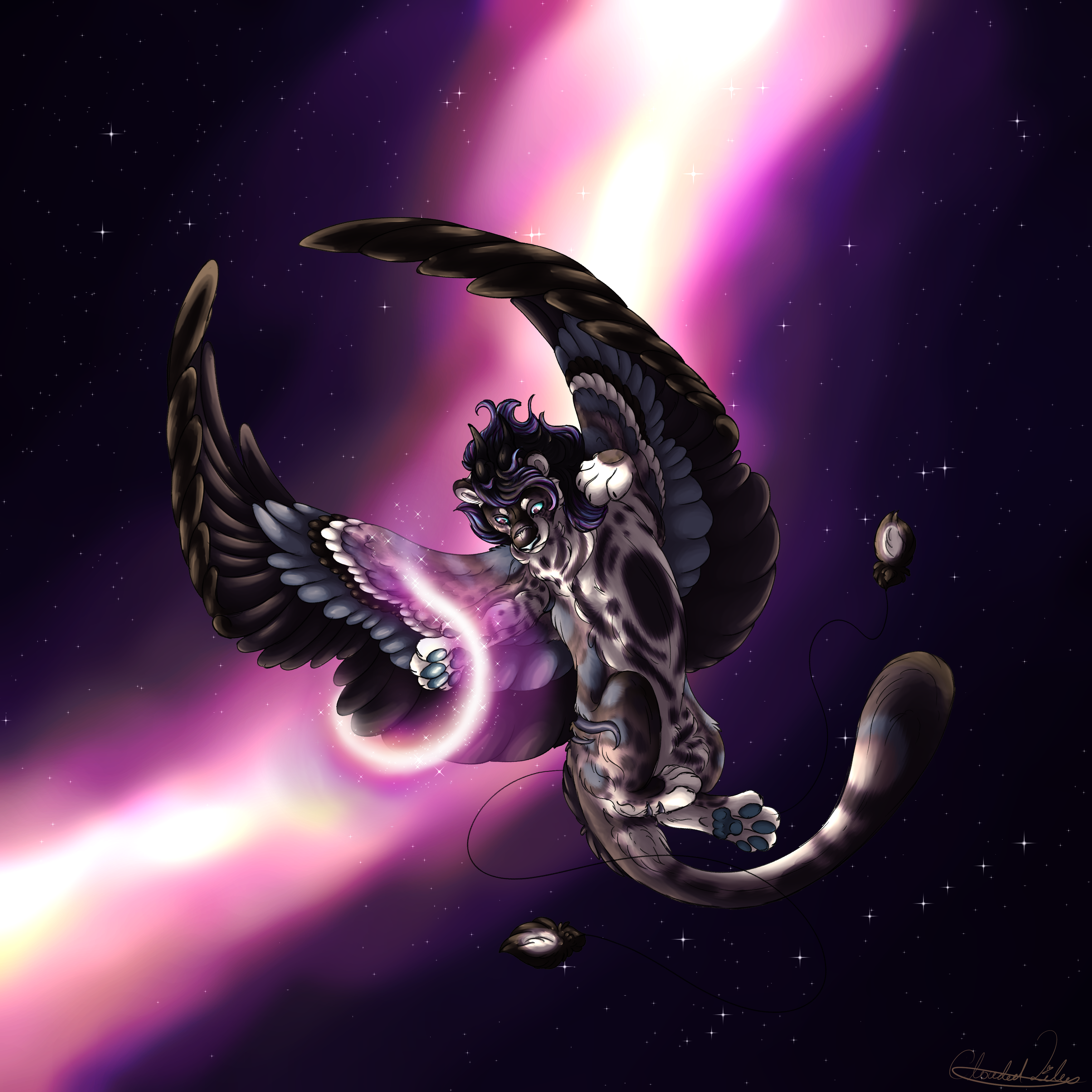 Galaxy Lily