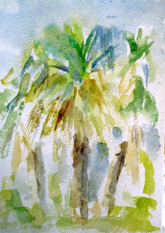 Palms sketch