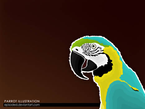 Parrot Illustration