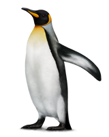 Penguin painting