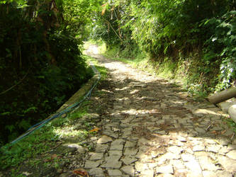 the long and winding green road