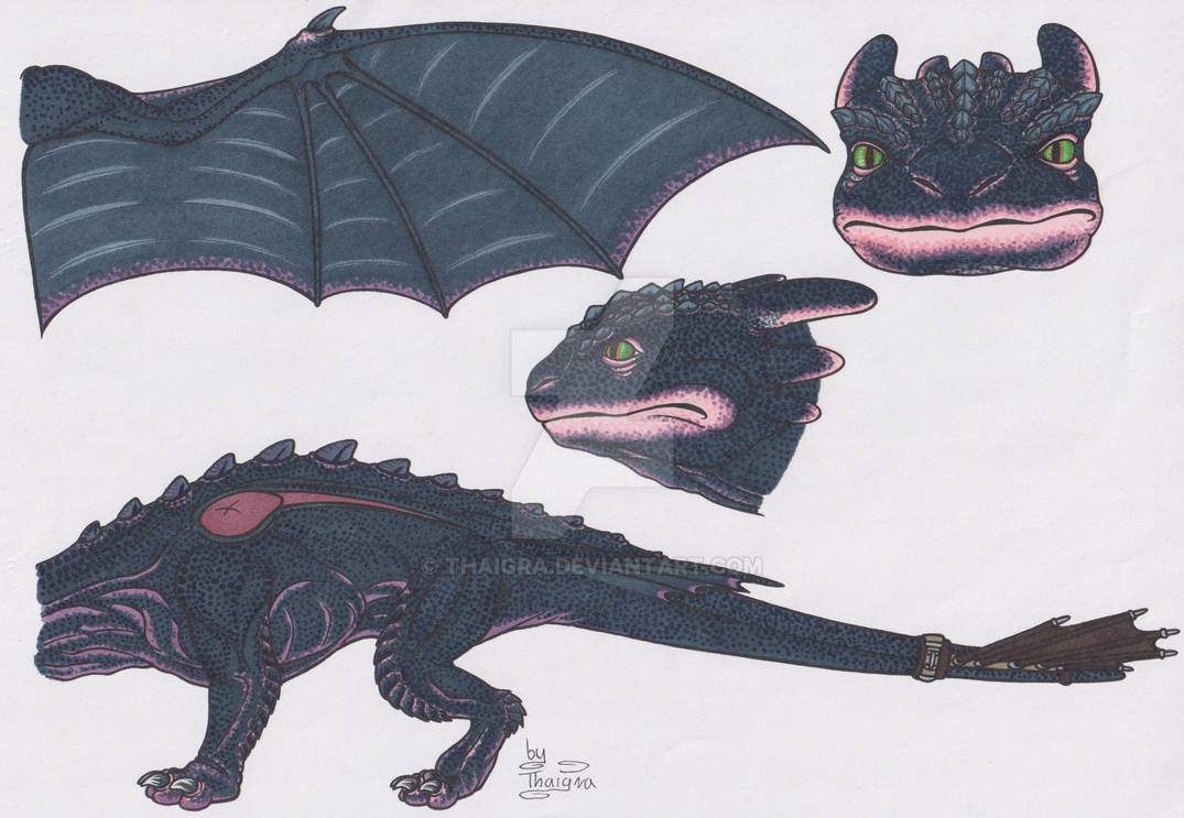COMMISSION: AS Toothless Ref Sheet by Thaigra on DeviantArt