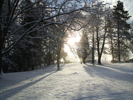 Winter in Tacoma, WA