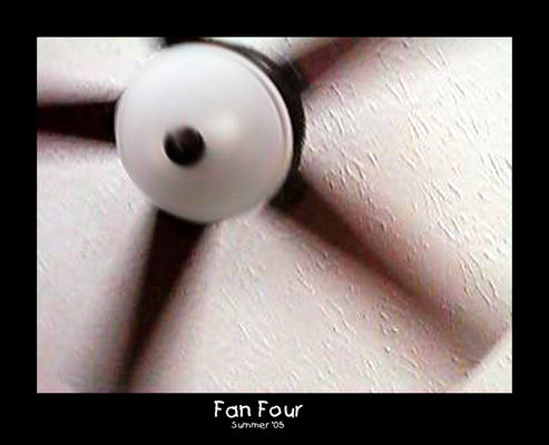 Fan 4