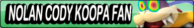 Nolan Cody Koopa fan button