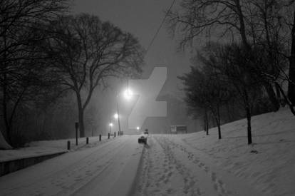 Greenway At Night