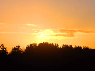 Druridge Bay 002