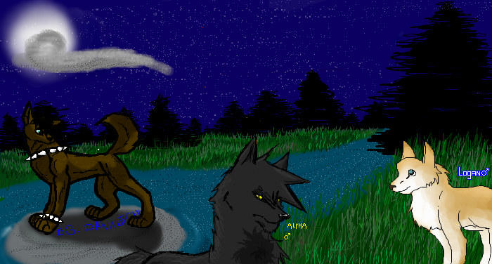 wolf rp bgs C: by Asleri on DeviantArt