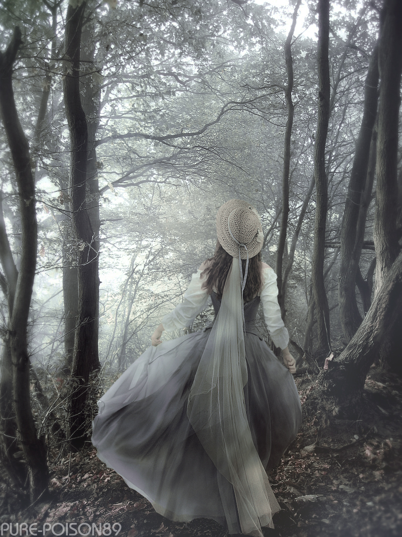 .: Into the Woods :.