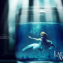 .: Lady in the Water :.