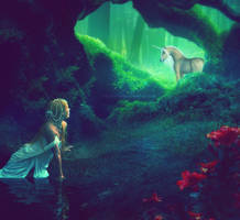 .: The Enchanted Forest :.
