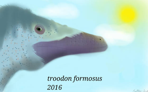 Troodon Formosus 