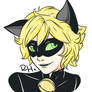 Chat Noir