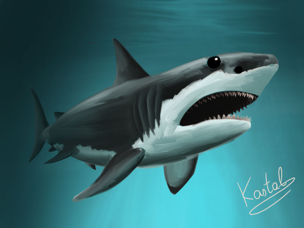 Shark Deviantart Shark by rkastal on DeviantArt