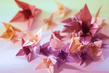 origami 01