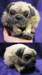 Mimi the pug doll.