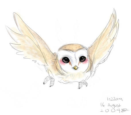 Barn Owl