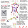 How To Anatomate