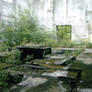 Factory Ruin 22
