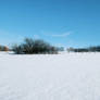 Snowscape Stock 26