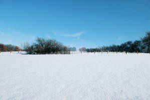 Snowscape Stock 26