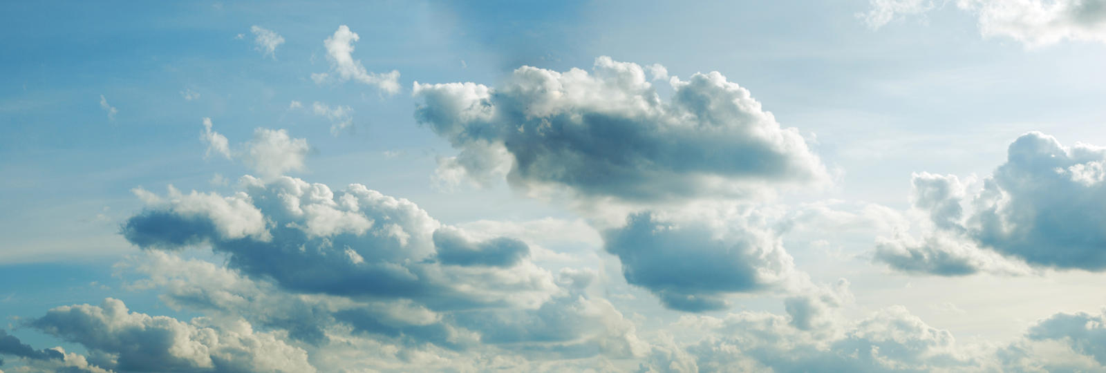 Sky 46